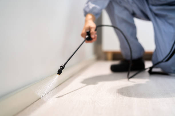 Bed Bug Pre-Treatment Preparation Assessment in Northwest Ithaca
