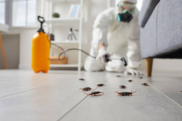 Post-Treatment Bed Bug Interceptor Monitoring in Northwest Ithaca